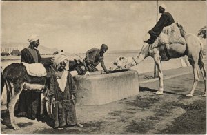 PC EGYPT, ASSUAN, WATERING PLACE, Vintage Postcard (b39432) 