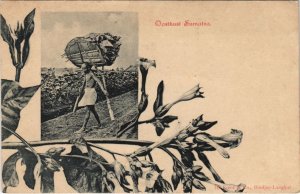 PC Ooskust Sumatra Ethnic types INDONESIA (A24003)