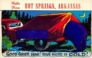 Hot Springs Arkansas 1950s Comic Postcard Your Nose Is Cold Bear In Tent