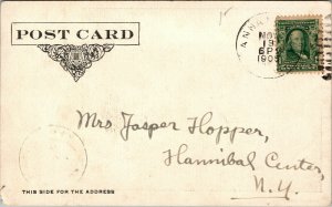 Vtg 1905 St Stephens College Hoffman Library Annandale New York NY Postcard