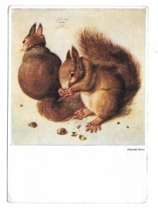 Albrecht Durer Squirrels Eichhornchen Hanfstaengl Munich 4X6 Art Postcard