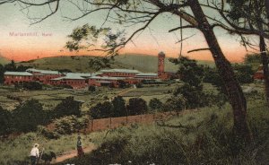 Vintage Postcard Mariannhill Buildings Houses Trails Natai South Africa