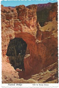 Natural Bridge Bryce Canyon National Park Utah    4 by 6