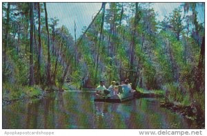 Georgia Waycross Boat Tour Okefenokee Swamp Park 1956