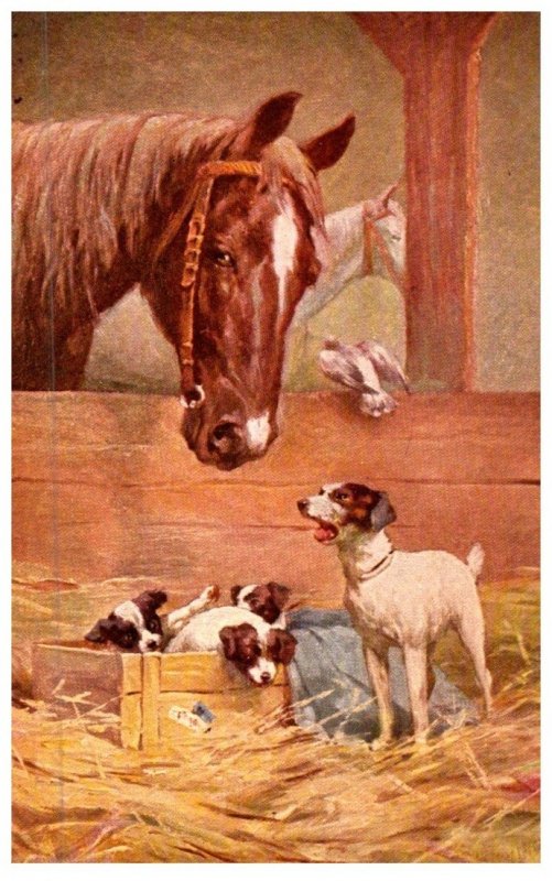 Dog , with Puppies, Horses in Stalls