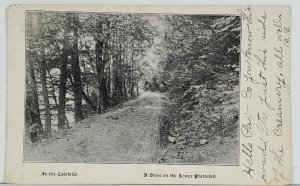 NY In The Catskills, A Drive on the Lower Plattekill 1907 udb Postcard Q10