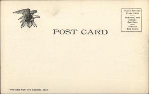 St. Augustine FL Hotel Ponce De Leon c1905 UDB Postcard EXC COND