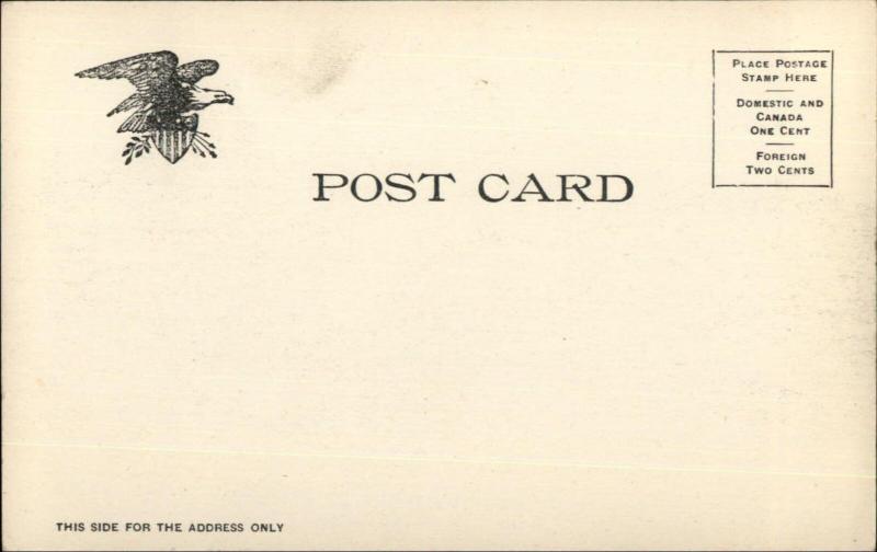 St. Augustine FL Hotel Ponce De Leon c1905 UDB Postcard EXC COND