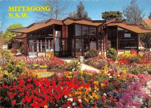 BR101863 southern highlands nsw mittagong tulip time  australia