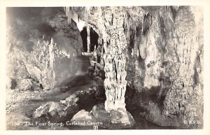 First Spring real photo - Carlsbad Caverns, New Mexico NM