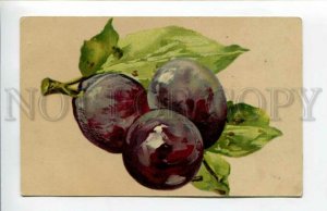 3156198 Plums by KLEIN vintage Colorful PC