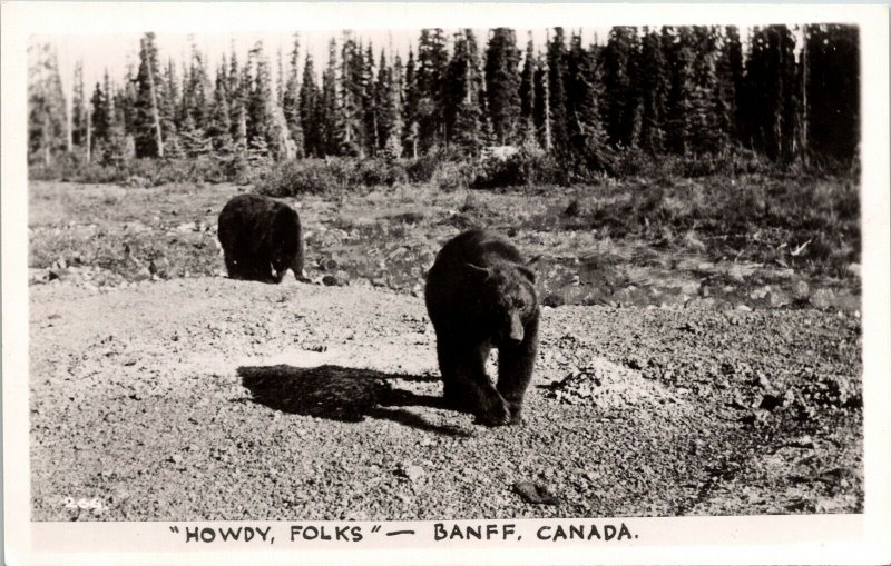 Howdy Folks Banff Canada Bears WB Postcard VTG UNP WOB Note Vintage Unposted 