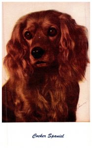 Dog  , Cocker Spaniel , artist signed