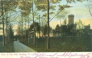 Reading PA View of City Park 1906 Undivided Back Litho Postcard Used