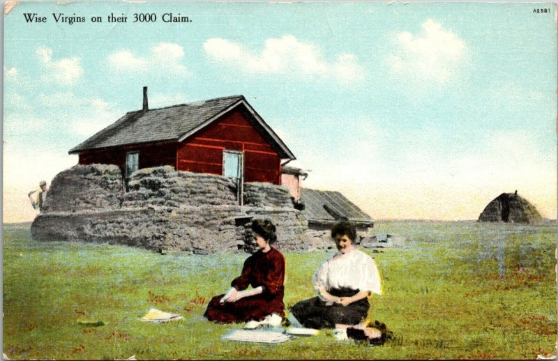Wise Virgins on their 3000 Claim Women Homesteaders shanty Postcard 1909