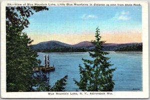 Blue Mountain Lake Little Blue Mountains Adirondack Mountains New York Postcard