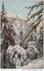 California Mount Lowe In Winter
