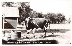 C93/ Gaylord Michigan Mi Real Photo RPPC Postcard c40s Cow Water Pump Dog Gone