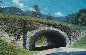 Tennessee Smoky Mountain The Loop Underpass