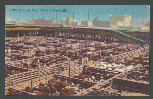 Ca 1945 PPC* Union Stock Yard W/Cows Chicago IL Mint