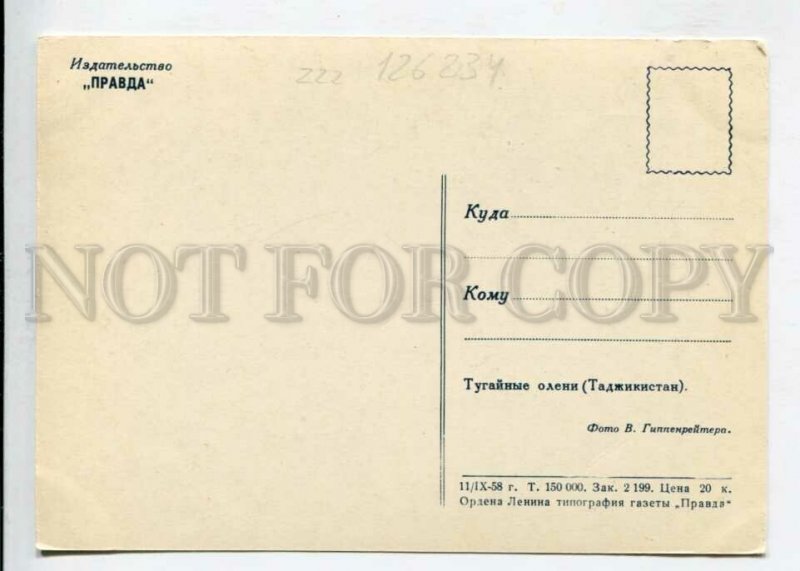 429753 USSR hunting Tajikistan Bactrian deers 1958 year russian postcard