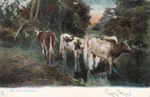 Tucks By Cooling Streams Animal Life Series 1904