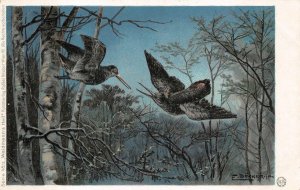 BIRDS IN FOREST GERMANY ARTIST SIGNED E. DUCKER JON POSTCARD (c. 1900)