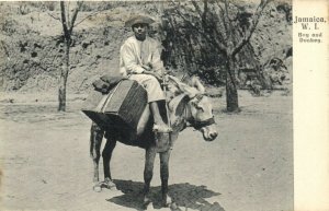 PC JAMAICA, BOY AND DONKEY, Vintage Postcard (b40020)