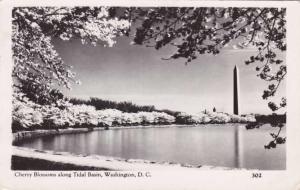 RPPC Cherry Blossoms Tidal Basin Washington DC Monument