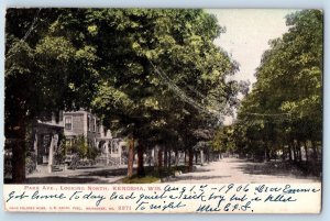 1906 Kenosha Wisconsin Park Avenue Looking North Residential Area Trees Postcard