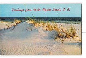 North Myrtle Beach South Carolina SC Vintage Greetings Postcard Sand Dunes