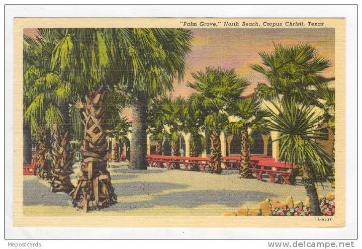 Palm Grove,  North Beach,Corpus Christi,Texas,1953