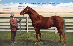 Man O' War The Wonder Horse Lexington, KY, USA Horse Racing 1946 