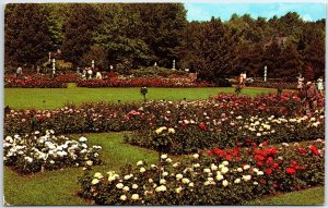 VINTAGE POSTCARD THE FAMOUS JACKSON & PERKINS ROSE GARDENS AT NEWARK N.Y.