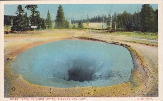 Wyoming Yellowstone Park Morning Glory Spring Yellowstone Park