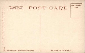 Nantucket MA North Shore #81122 c1910 Detroit Publishing Postcard