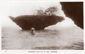 Zanzibar Sea Birds Shelter Africa Antique Real Photo Postcard