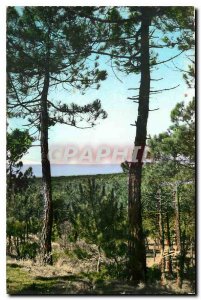 Modern Postcard St Jean de Monts Vendee Landscape drill the Sea Pines