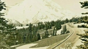 Postcard RPPC View of Mt. Rainier from Yakima Park by Ellis.     S1