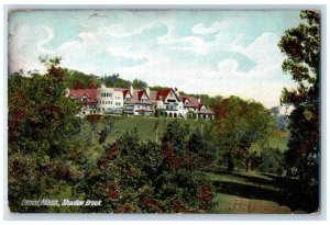 1906 Shadow Brook Lenox Massachusetts MA Jamaica NY Antique Posted Postcard