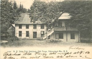 Postcard New York Adirondack State Fish Hatchery Old Forge Rotograph 23-9879