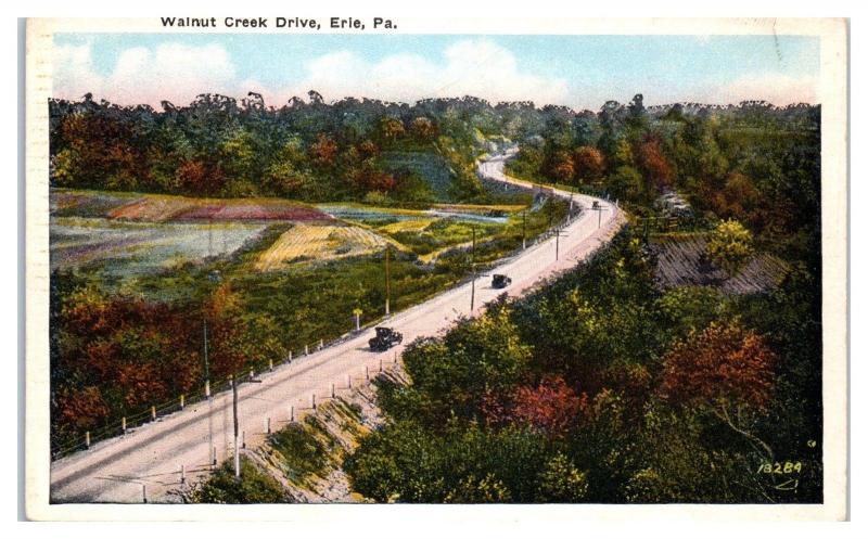 Early 1900s Walnut Creek Drive, Erie, PA Postcard