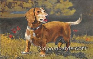 Basset Dachshund Switzerland Dog Unused 