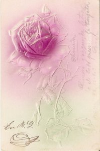 Flowers. Beautiful pink rose Old vintage German, embossed postcard