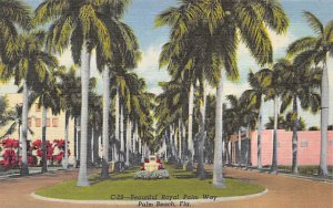 Beautiful Royal Palm Way - Palm Beach, Florida FL  