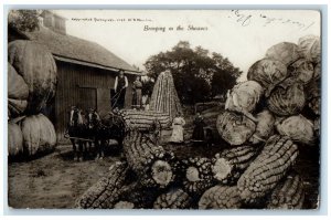 1910 Exaggerated Cabbage Corn Pumpkin Martin Kenosha WI RPPC Photo Postcard