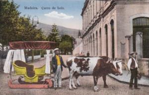 Portugal Madeira Carro de Bois Typical Ox Cart