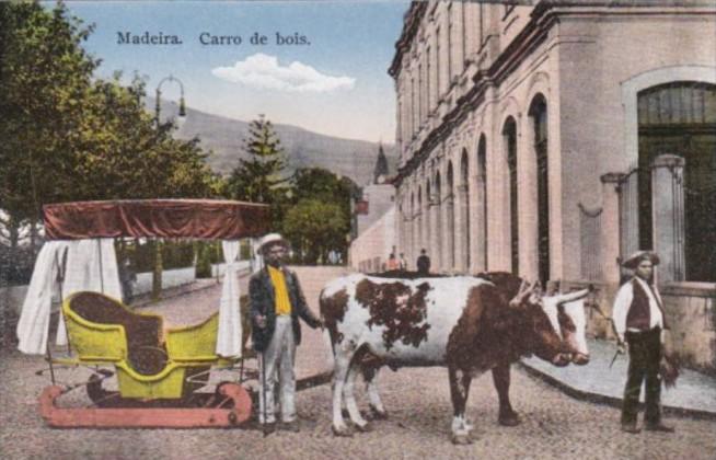 Portugal Madeira Carro de Bois Typical Ox Cart