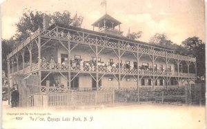 Pavilion Cayuga Lake, New York Postcard