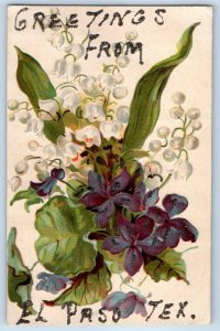 1910 El Paso Texas Vintage Postcard Greetings Glitter Embossed Flowers Unposted